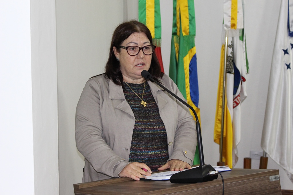 Vereadora Sonia (PP) solicita construção de abrigo na parada de ônibus junto a Linha Rodeio São João